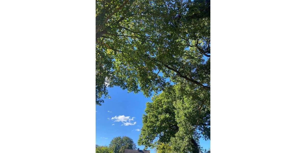 Grundstück Aurich Popens - 145.000&euro; | Angebot:25670230