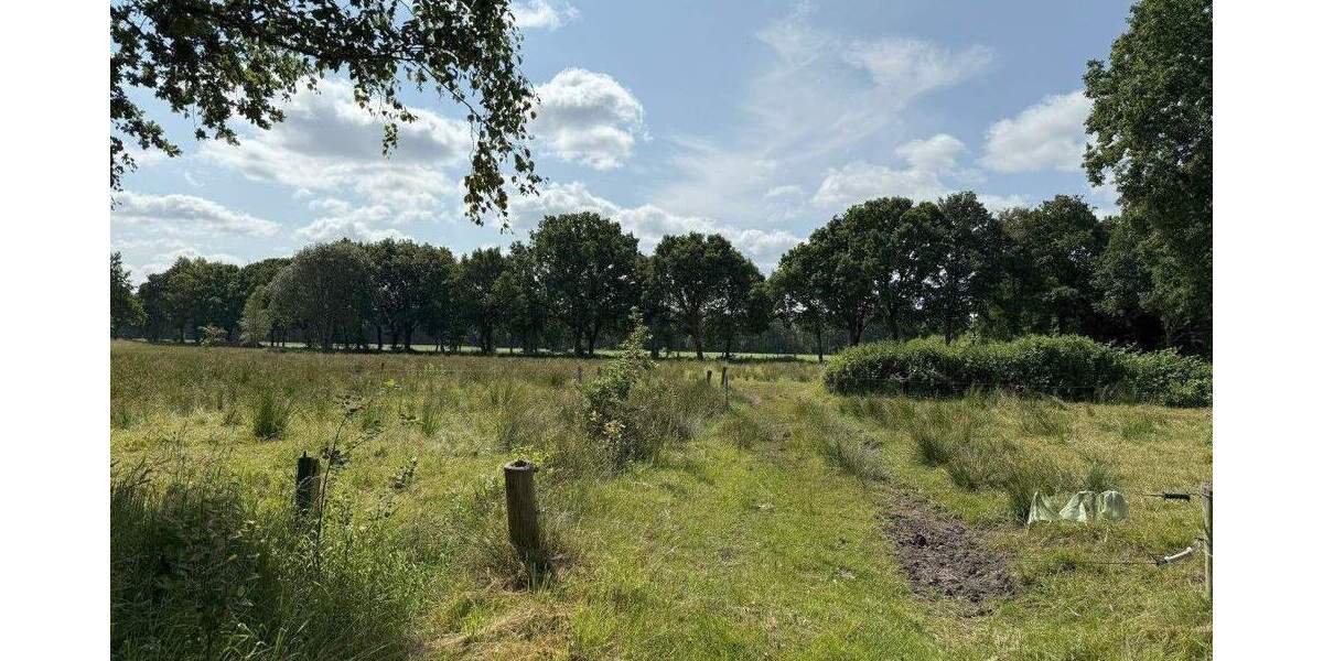 Bauernhaus, Landhaus Aurich Plaggenburg - 9 Zimmer, 369.000&euro; | Angebot:25684390