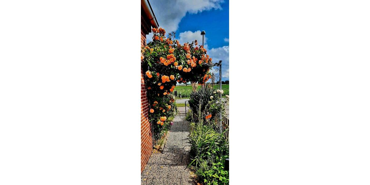 Einfamilienhaus Krummhörn - 3 Zimmer, 95 m&sup2;, 155.000&euro; | Angebot:26396231