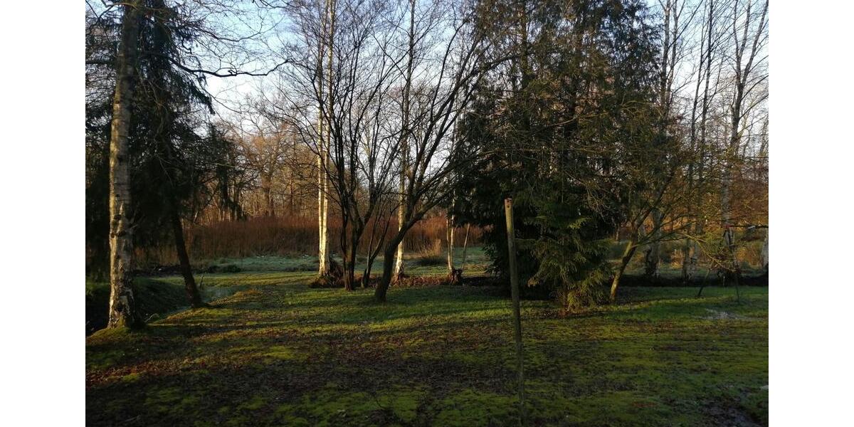 Einfamilienhaus Westoverledingen - 6 Zimmer, 98 m&sup2;, 189.000&euro; | Angebot:26124086