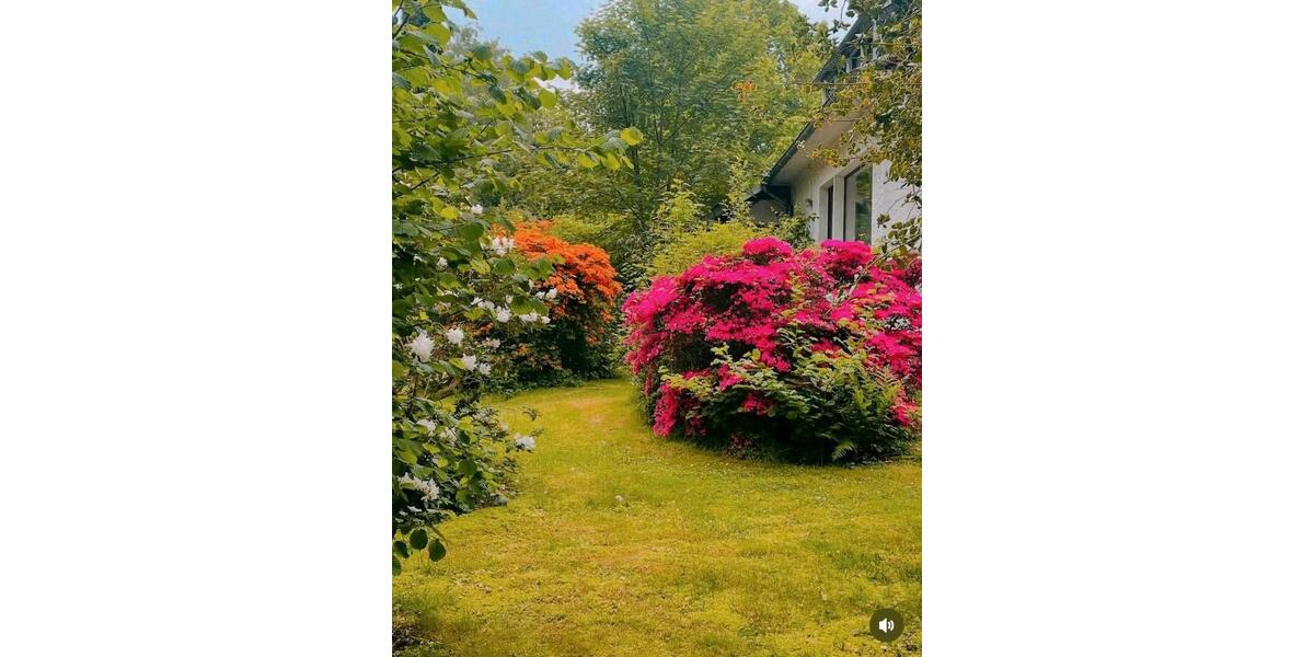 Gewerbeobjekt Aurich - 1.240&euro; | Angebot:26683882