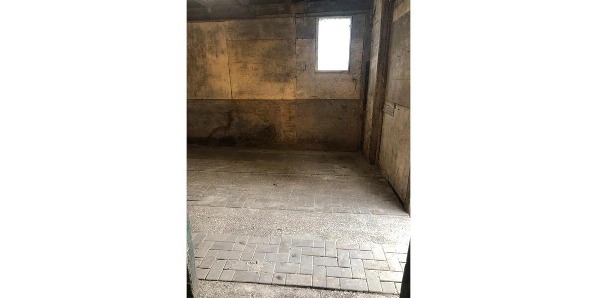 Doppelhaushälfte Krummhörn - 4 Zimmer, 120 m&sup2;, 900&euro; | Angebot:26422528