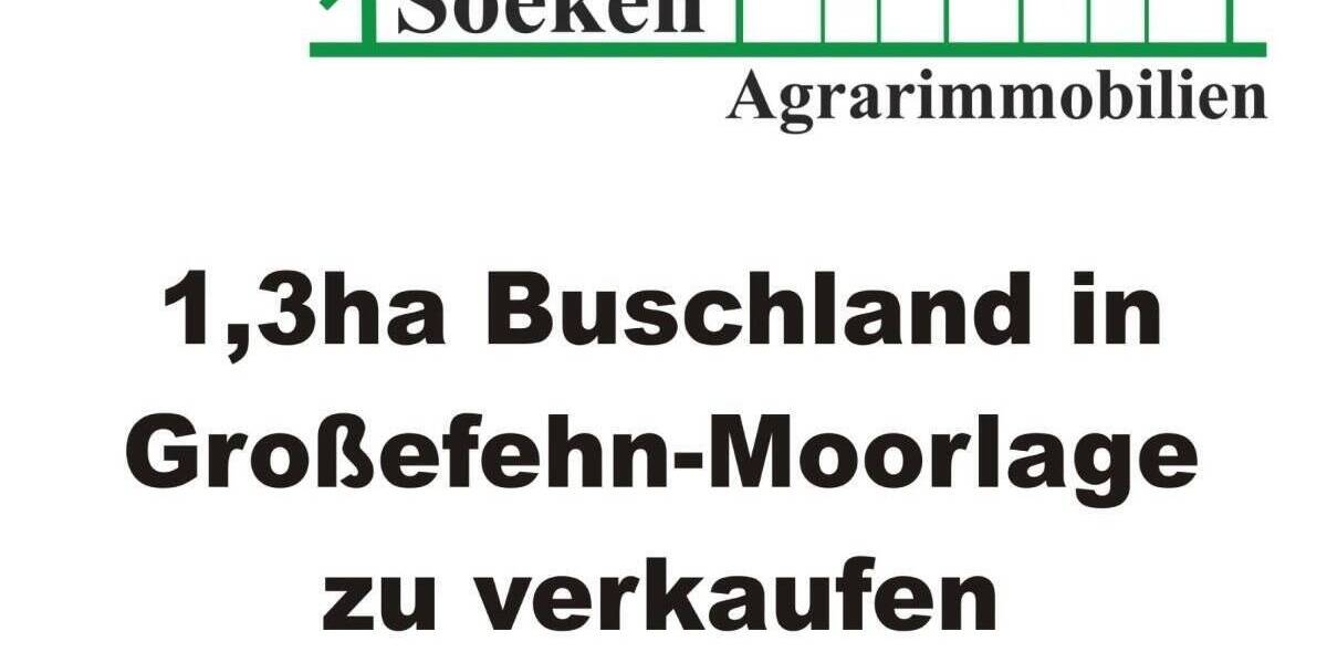 Grundstück Großefehn Aurich-Oldendorf - 13.000&euro; | Angebot:25692853