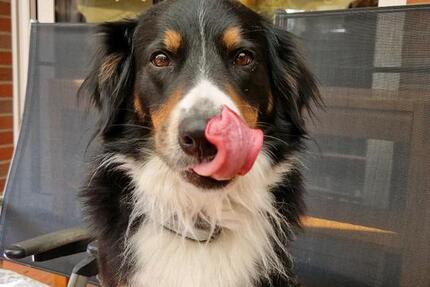 Wohnung Aurich Georgsfeld und Tannenhausen - 3 Zimmer, 50 m&sup2;, 300&euro; | Angebot:24593090