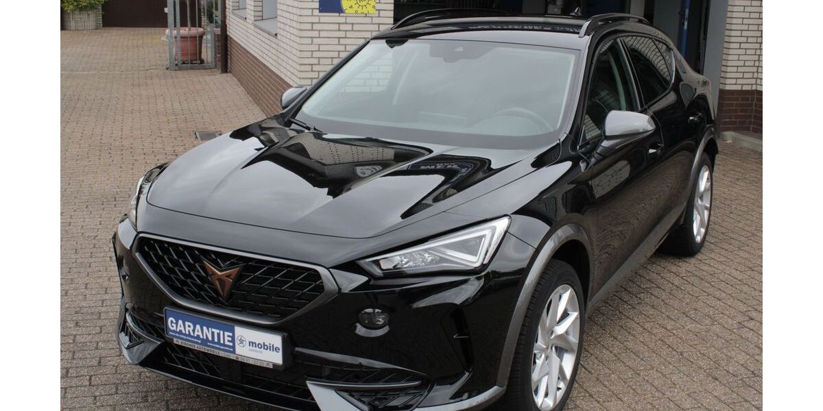 Cupra Formentor 34.100 km 27.900 &euro; Leer 26789