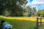 Einfamilienhaus Moormerland - 425.000&euro; | Angebot:26757317